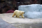 Ижевский Зоопарк