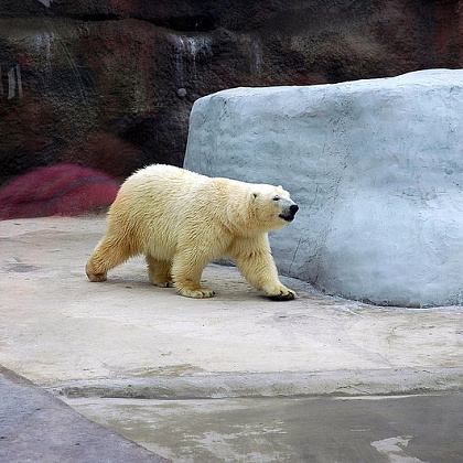 Ижевский Зоопарк